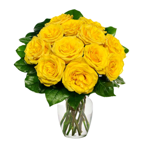 11 Yellow Roses in Vase